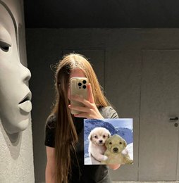 Iceicell